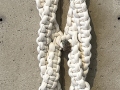 CateMcClure-InfinityChain